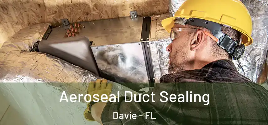  Aeroseal Duct Sealing Davie - FL